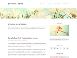 Beautiful-Pro Thema